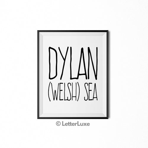 Dylan Printable Kids Decor - Birthday Party Decoration Idea - LetterLuxe