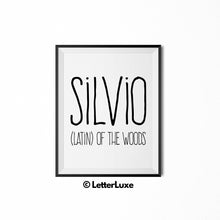 Silvio Name Meaning Nursery Wall Decor - Baby Shower Gift